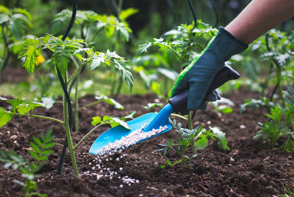 Garden preventative maintenaance programmes  